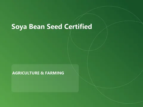 Soya Bean Seed Certified